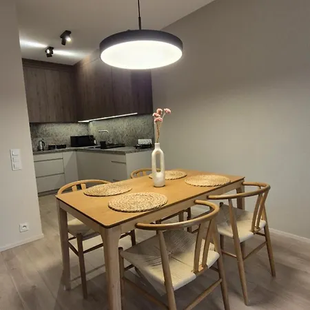 Luxurious Vanilla Apartment, Self Check-in 24h, Parking, Air-conditioning Apartment Poznan
