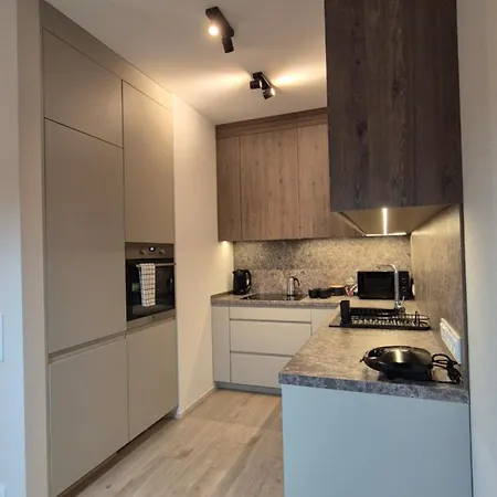 Luxurious Vanilla Apartment, Self Check-in 24h, Parking, Air-conditioning 公寓 波兹南
